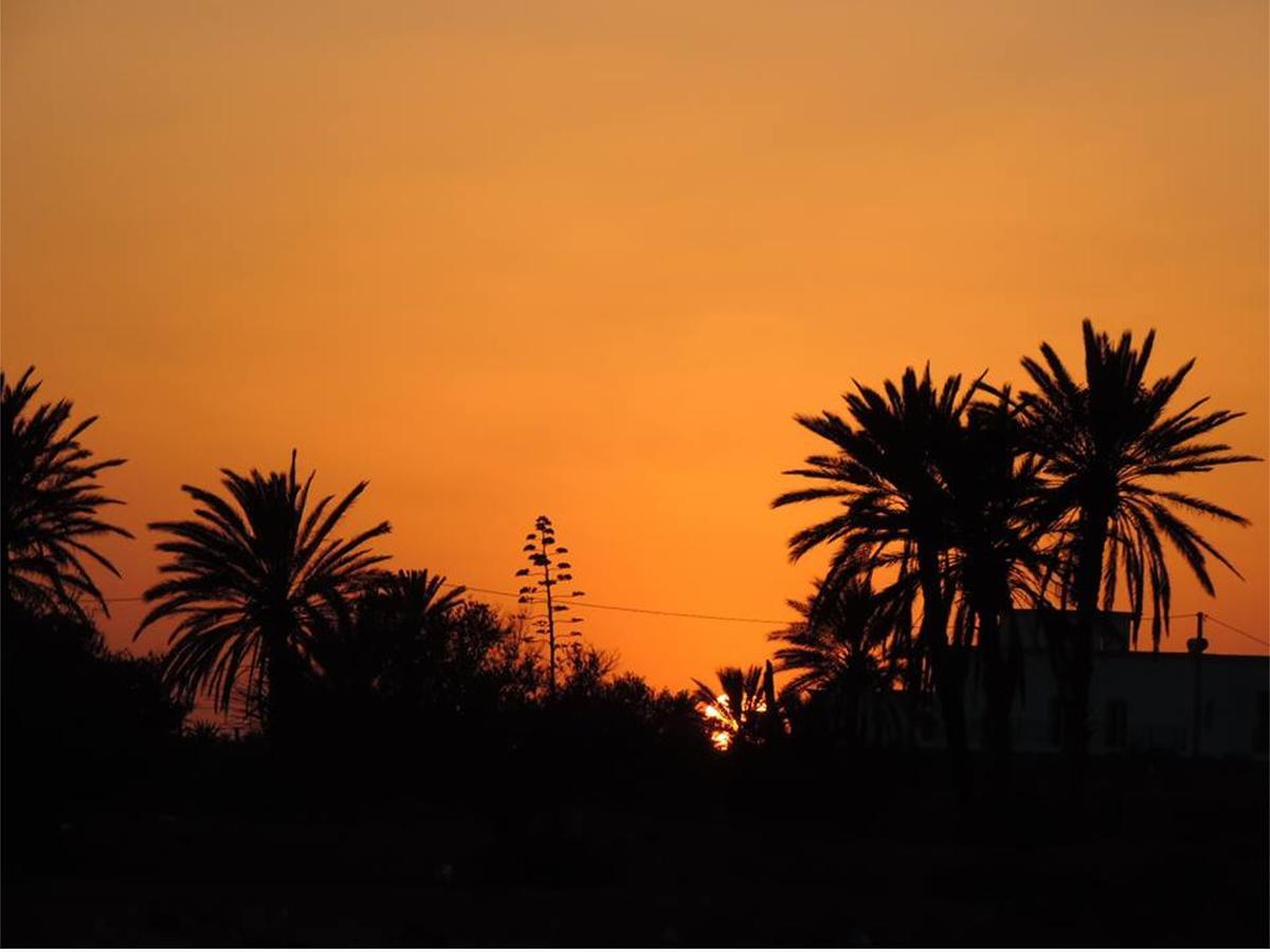 Dar Jasmin Djerba Bed and Breakfast Temlale Εξωτερικό φωτογραφία