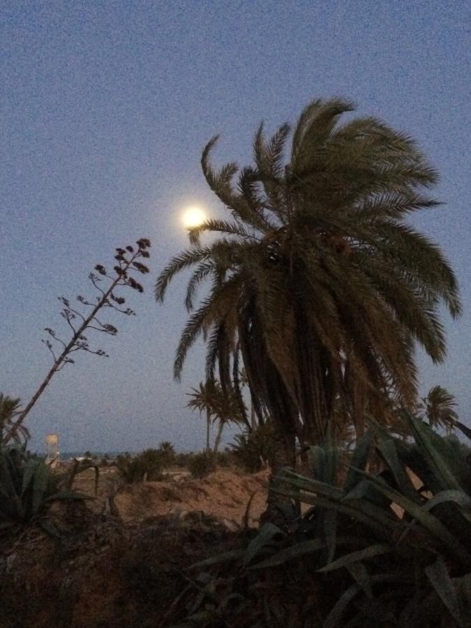 Dar Jasmin Djerba Bed and Breakfast Temlale Εξωτερικό φωτογραφία