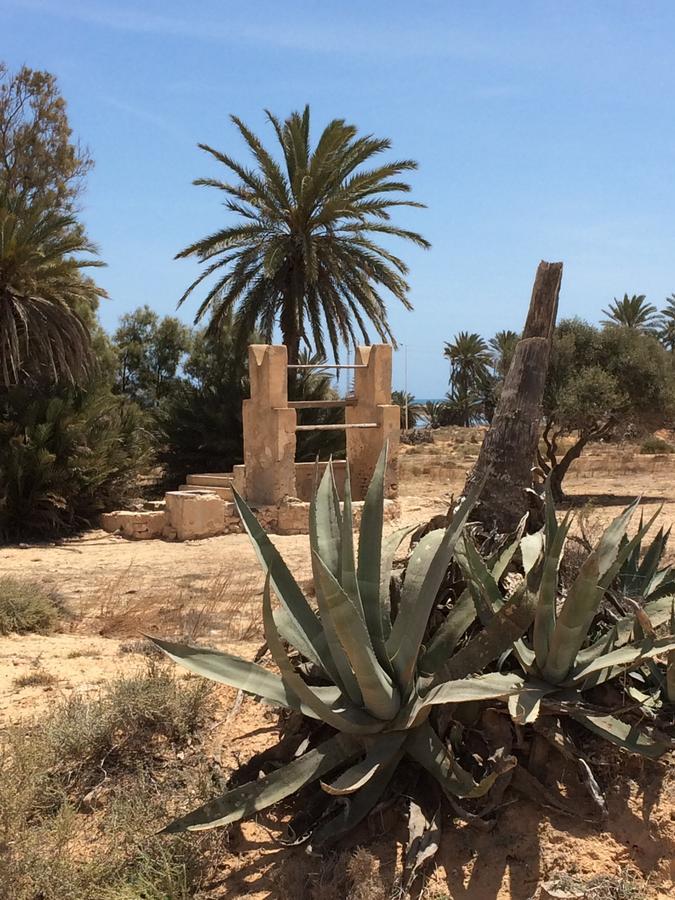 Dar Jasmin Djerba Bed and Breakfast Temlale Εξωτερικό φωτογραφία
