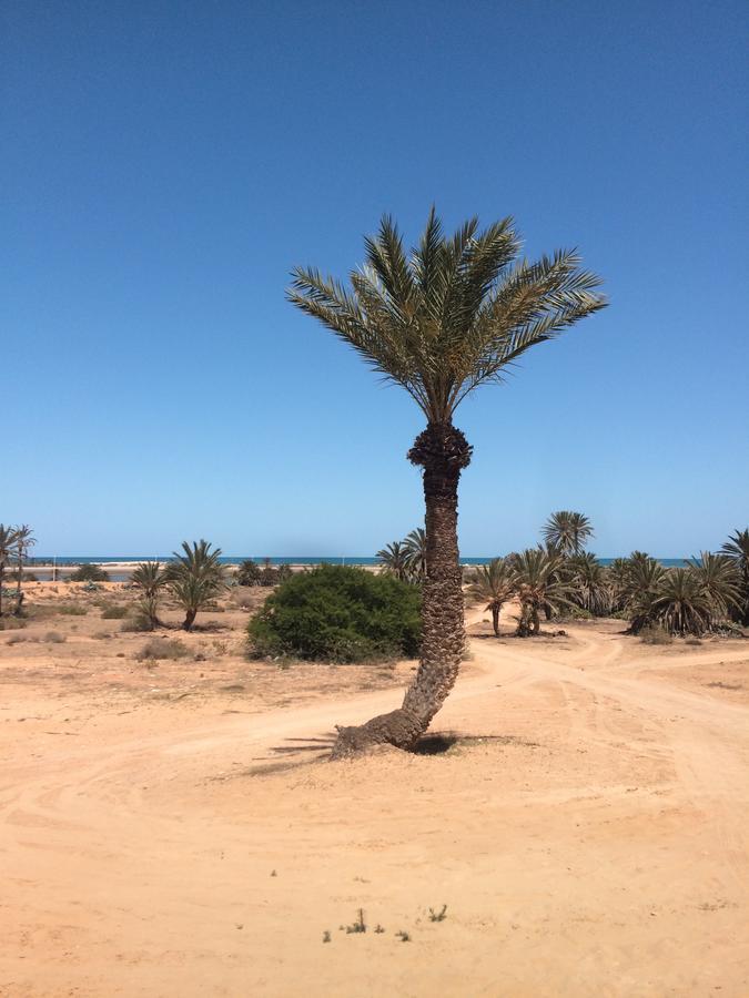 Dar Jasmin Djerba Bed and Breakfast Temlale Εξωτερικό φωτογραφία