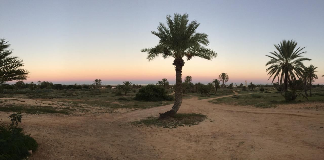 Dar Jasmin Djerba Bed and Breakfast Temlale Εξωτερικό φωτογραφία