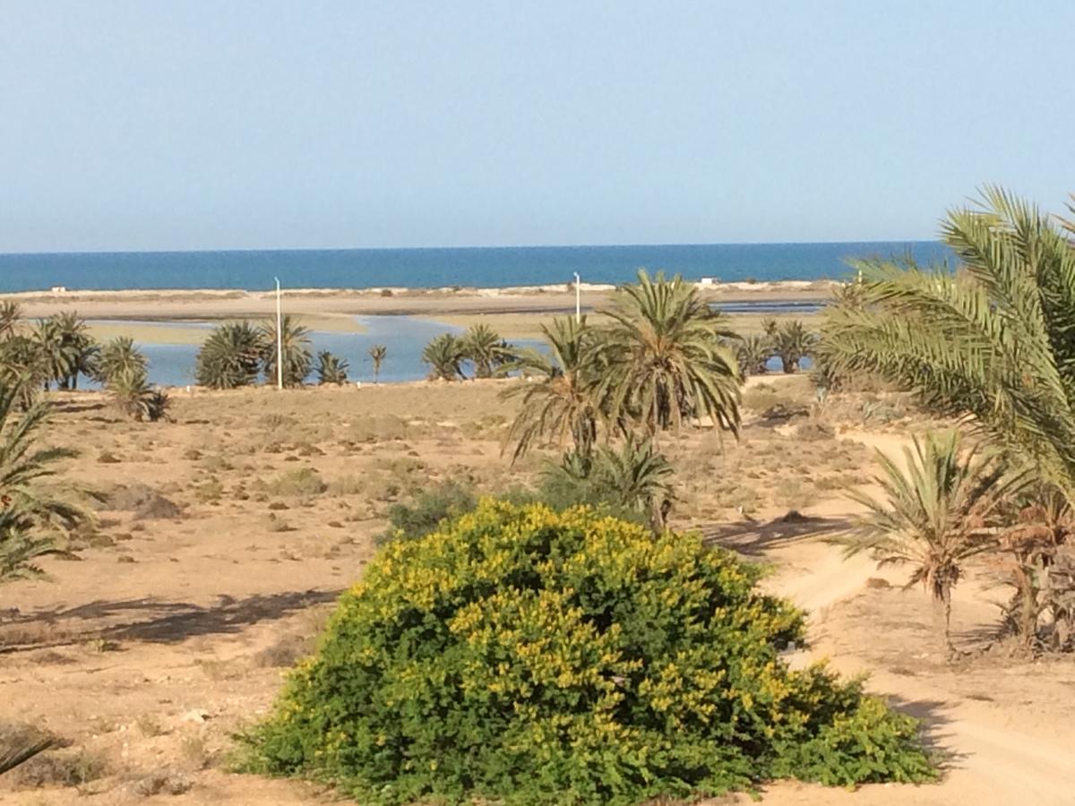 Dar Jasmin Djerba Bed and Breakfast Temlale Εξωτερικό φωτογραφία