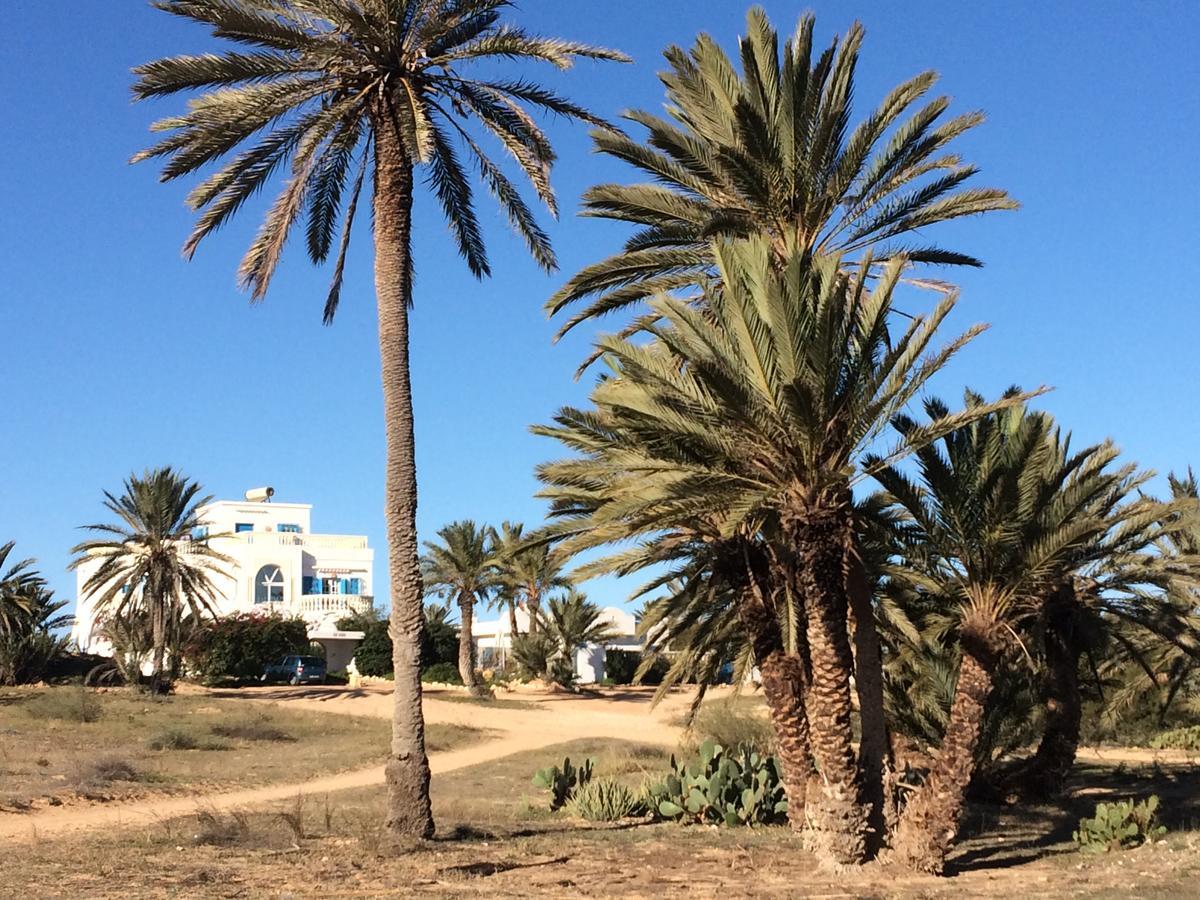 Dar Jasmin Djerba Bed and Breakfast Temlale Εξωτερικό φωτογραφία